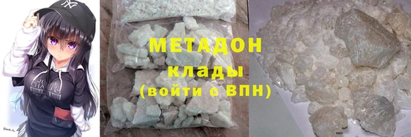 прущие грибы Орехово-Зуево