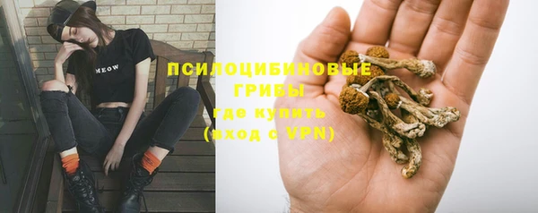 герыч Мегион
