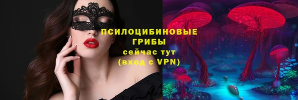 герыч Мегион