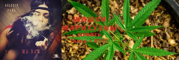 эйфоретик Медногорск
