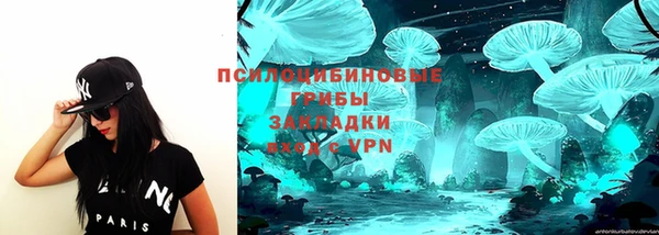 эйфоретик Медногорск