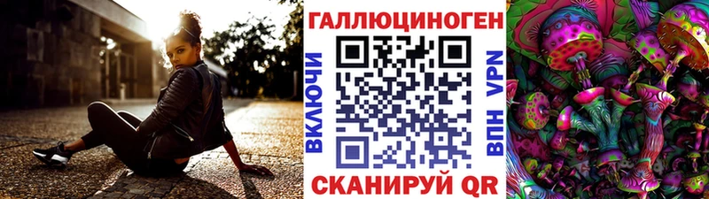 Галлюциногенные грибы Psilocybe  как найти наркотики  Покров 